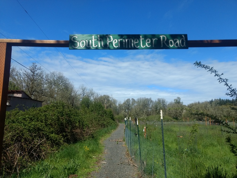 South Perimeter Road sign.