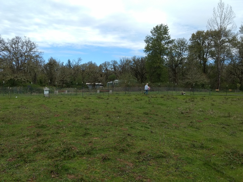 Joseph moving hive boxes into the east pasture.