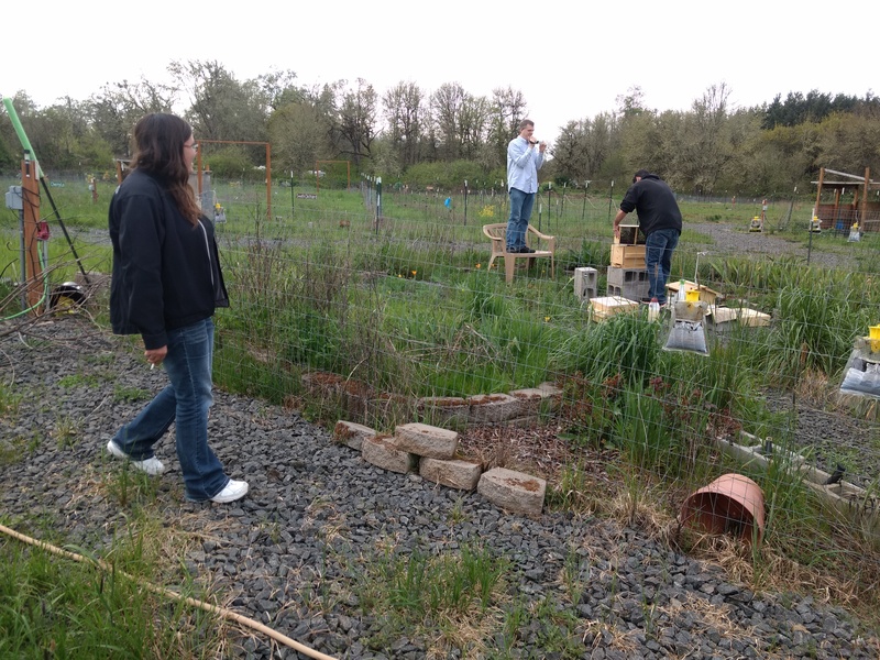 Steven works in the bee garden as Deena looks on and Joseph photographs. Hive number three in the bee garden.