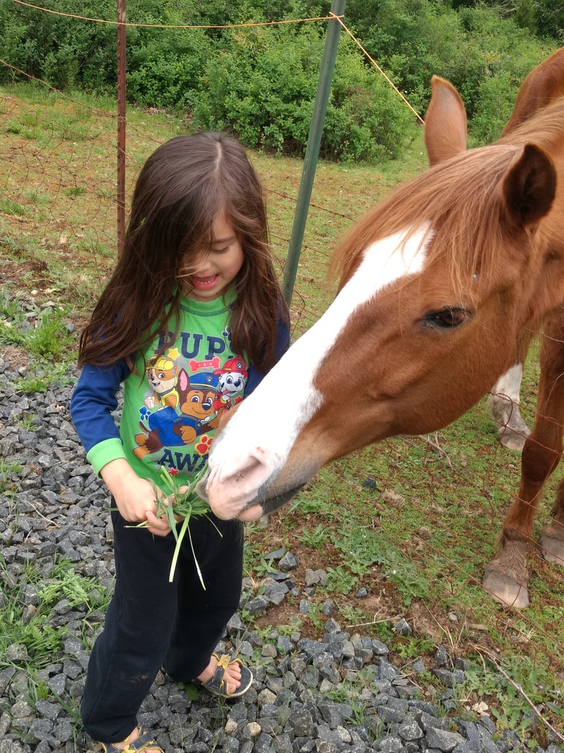 Kekoa is being neighborly with our neighbor's horse.