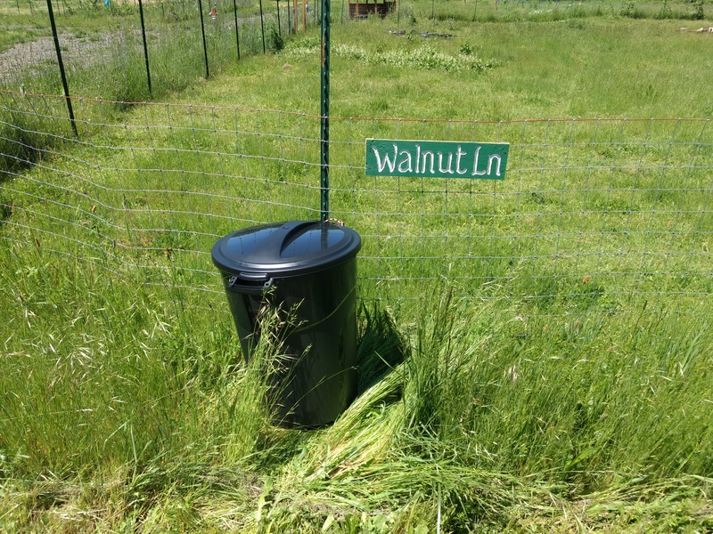 Walnut Ln (near firepit) gets a trash can.