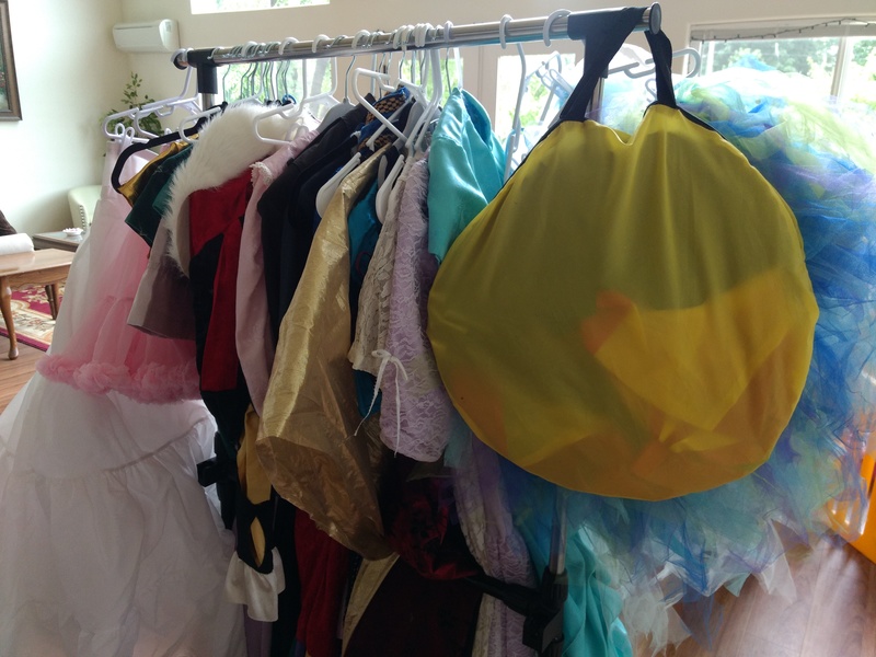 We moved the older costumes out of the closet in room 4 to make more room. :-)