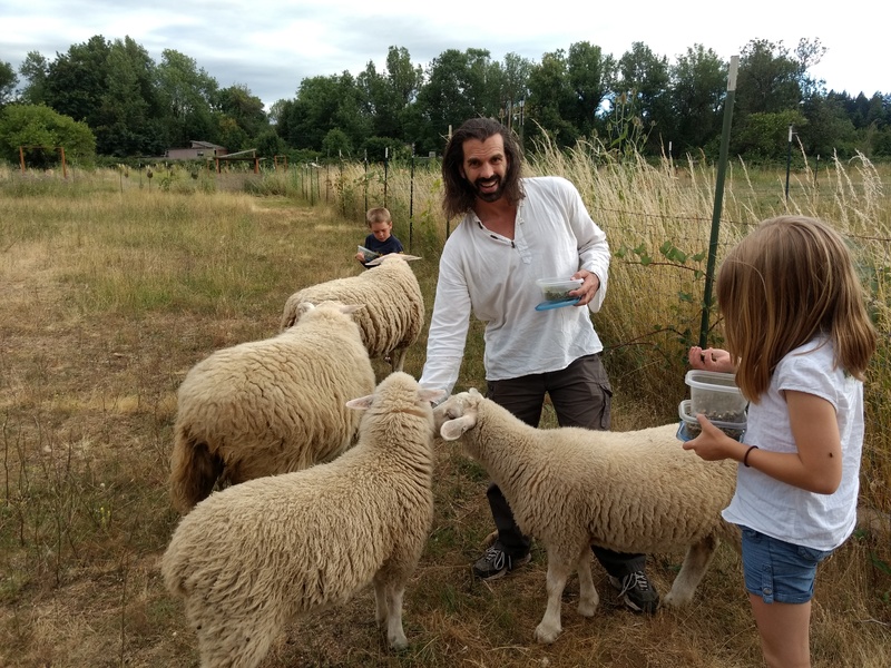 Visitors Shaun, Shaun, and Darma feed our sheep.