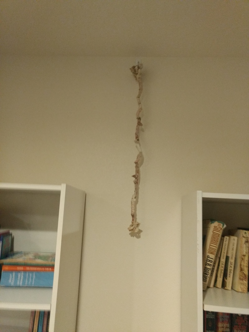 Our worm-casting sculpture is hanging in a place of honor between two bookcases.
