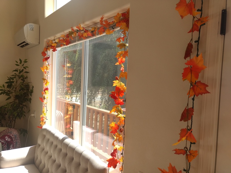 Fall Decor on the south window by the Persian Corner.