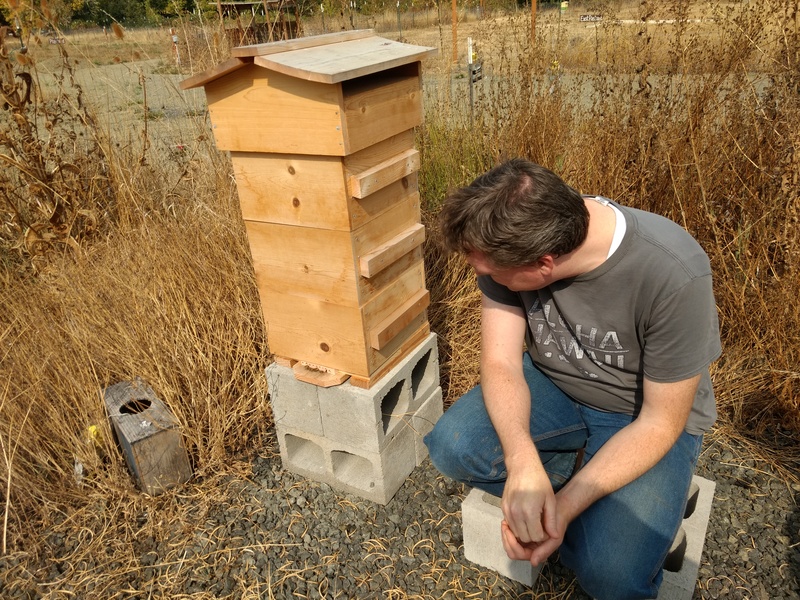 Joseph inspects the new entrance block. It has holes to let in the bees but it should block mice from getting into the hive.