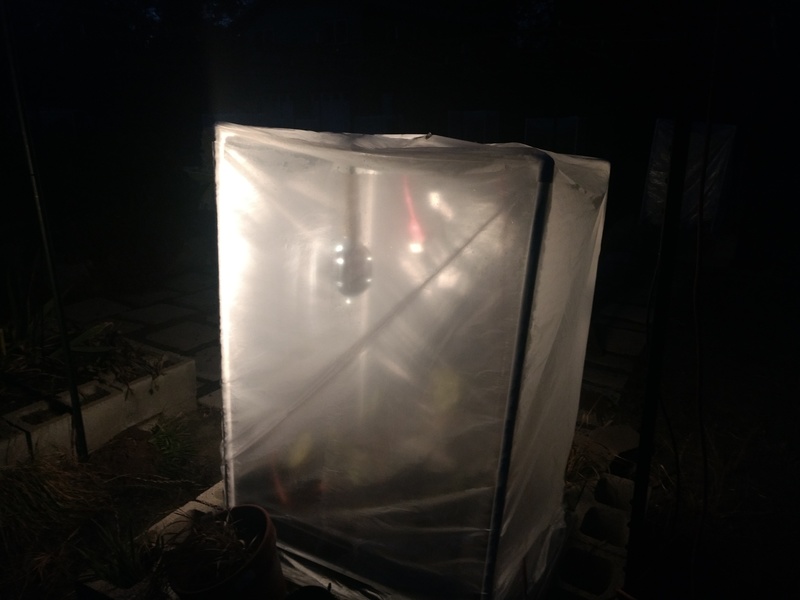 North Taro: Closeup; Light is controlled by a ThermoCube and is to provide heat inside the enclosure.