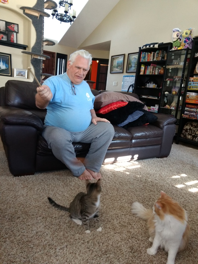 Don playing with Ben's cats.