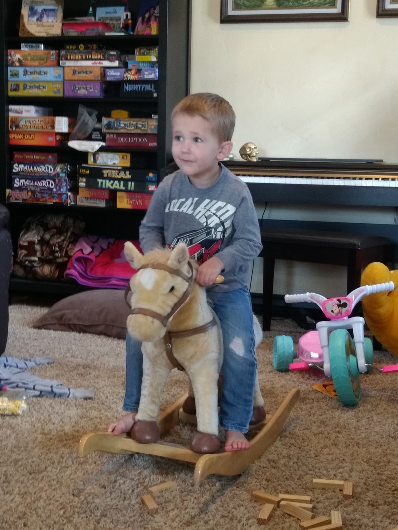 Don and Lois found this great rocking horse for Ben's house. Others liked it also.