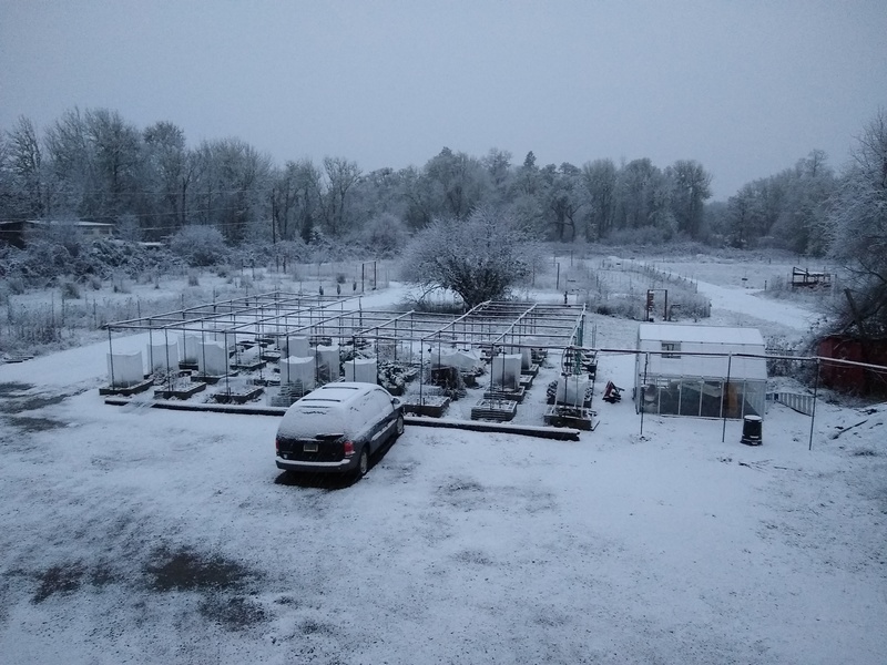 Snow: West Parking Lot, 7:15