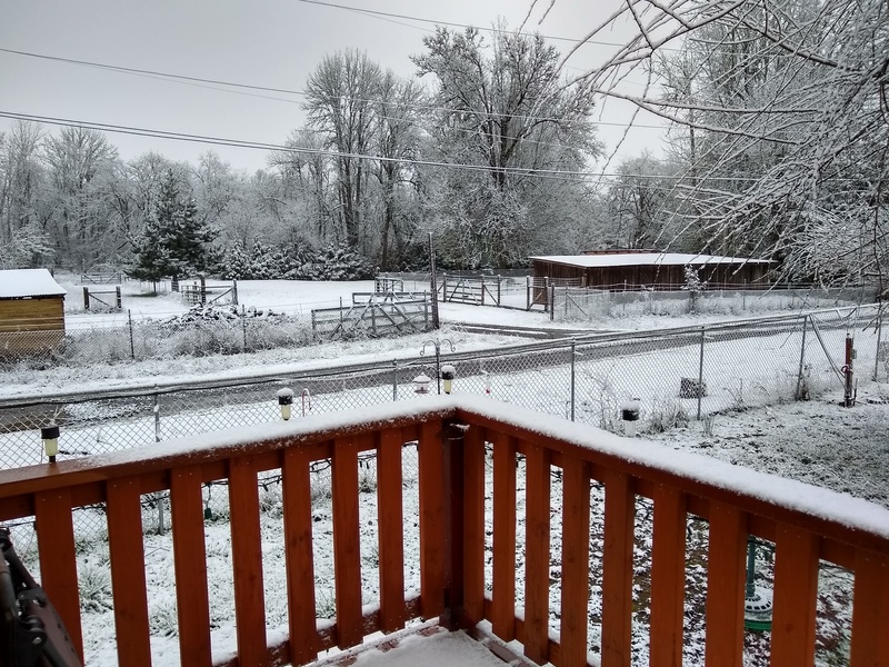 Snow: rm3 Deck, Neighbors, 8:00