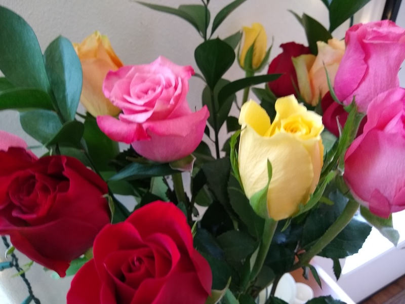 Lois's Valentine's roses.