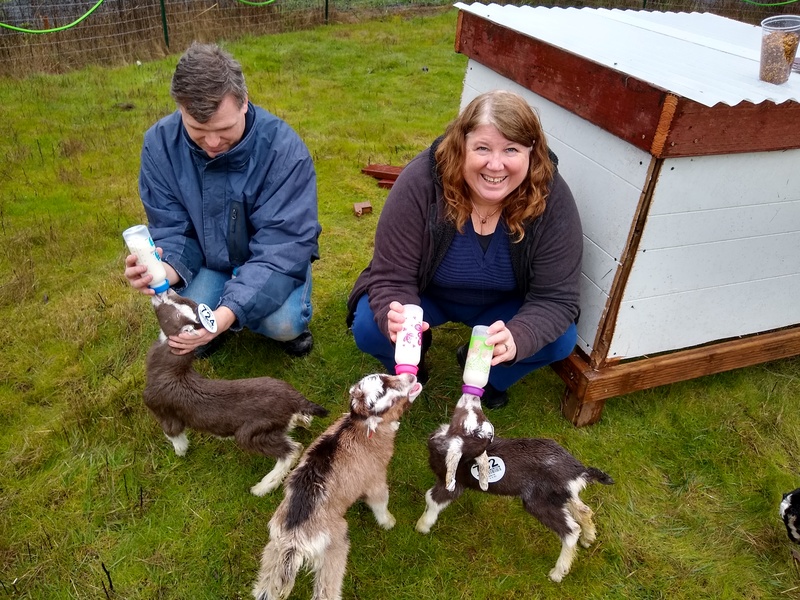Sat 3pm: Joseph and Lois feed the goats. The day before the snow started.