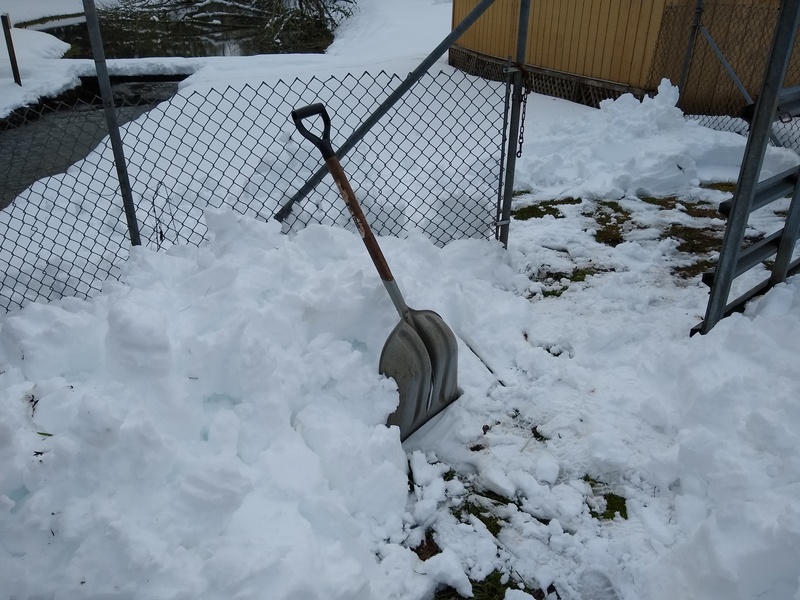 This is a handy shovel to have. It belongs to our neighbor. We should get a shovel like this.