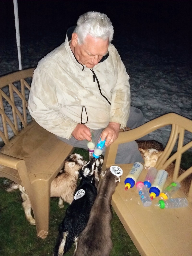Sun 9pm: Don is feeding sheep and goats nice warm milk.