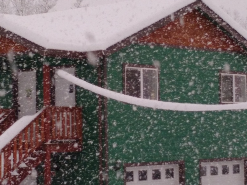 Mon 7am: Snow, snow, more snow... And look at the rope between the great house and guest house.