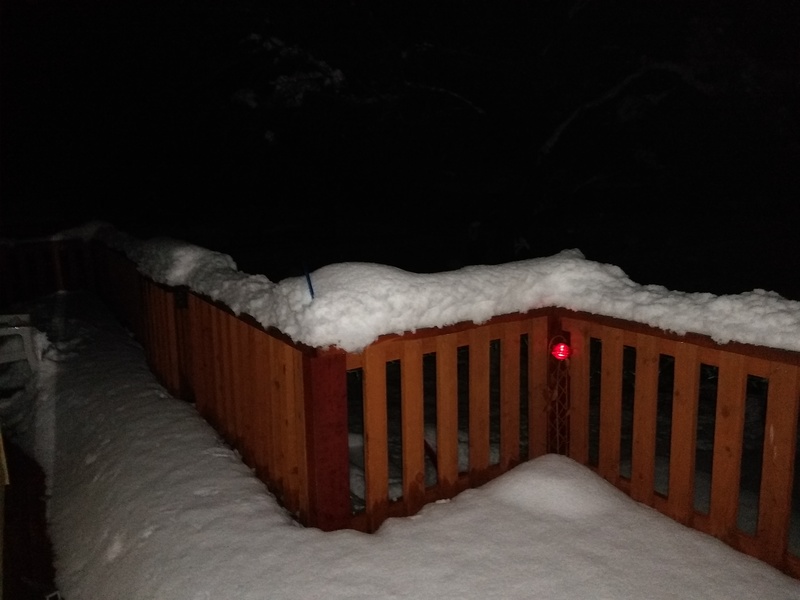 Mon 7pm: Solar lights are still working with snow on top of them. You can't really see them in the picture.