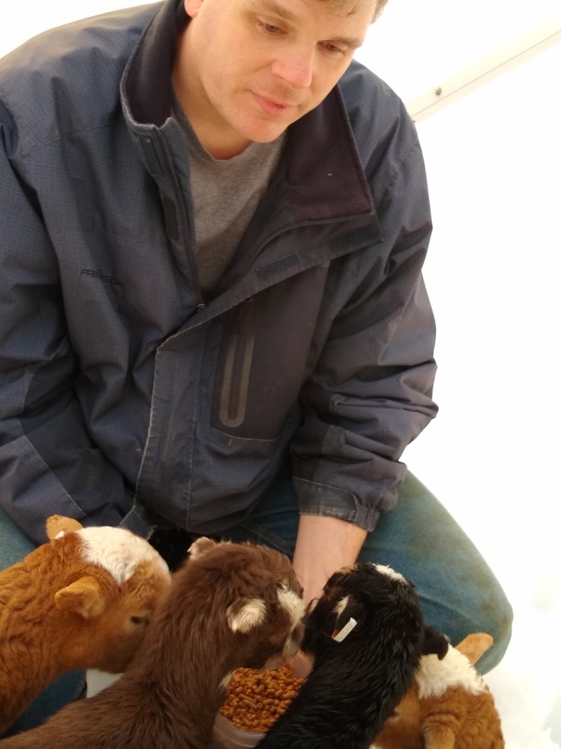 Wed 5pm: Joseph feeding sheep and goats