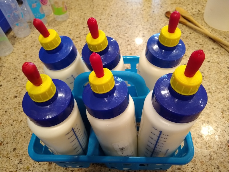 Wed: Six bottles of sheep/goat milk ready to carry.