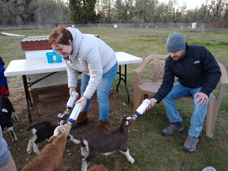 Sun: Keister Family feeds the goats and sheep.