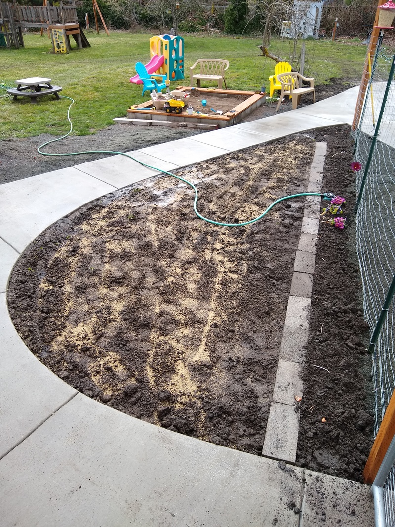 Lois seeded the"D" with grass seed on the big side and with flower bulbs on the skinny side.