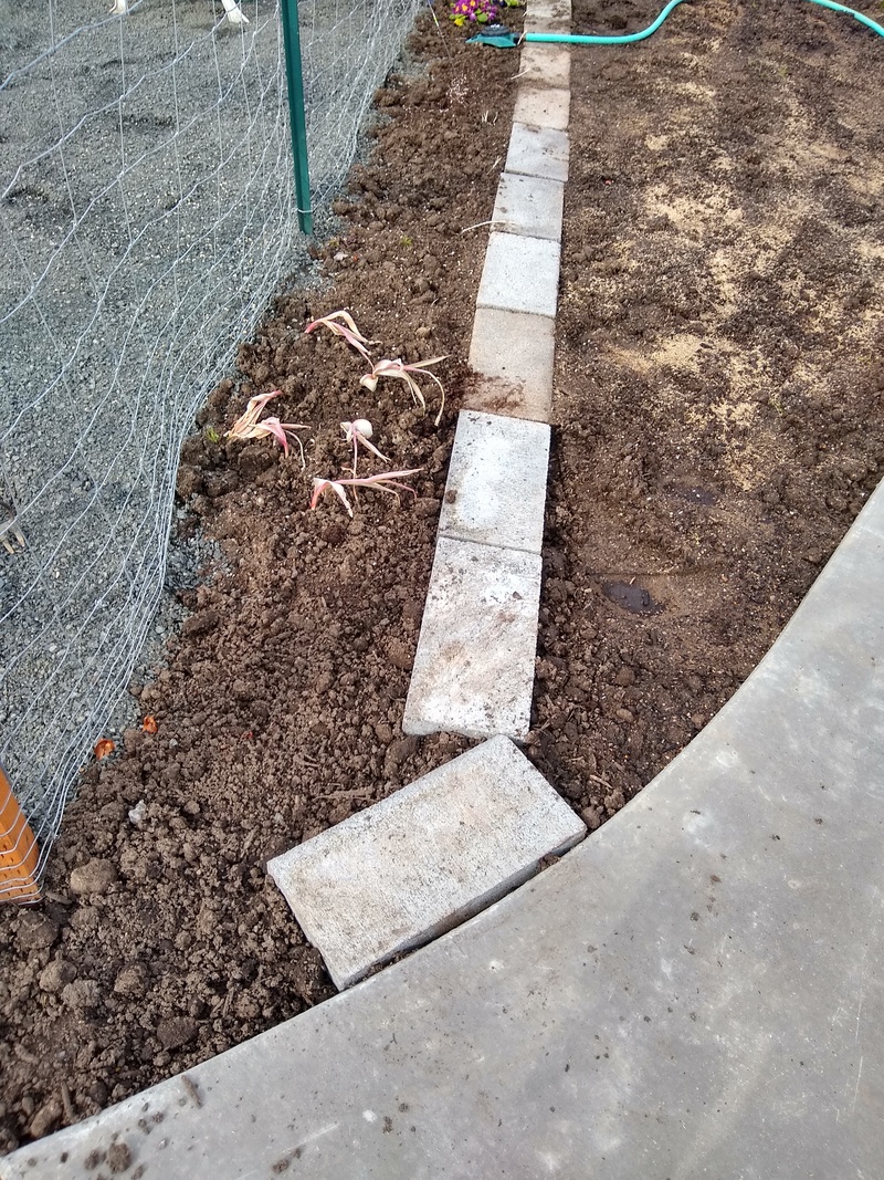 We bought a few more concrete blocks to finish up the row.  Flowers on the left.  Grass on the right.
