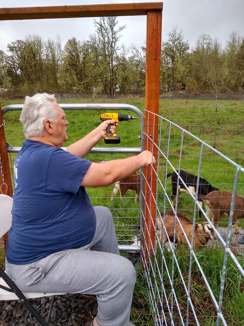 Don installs "cattle panels" across the north end of Cedar Lane, replacing the narrow bridge with something much wider, so the critters can wander from pasture to pasture freely (when the gates are open).
