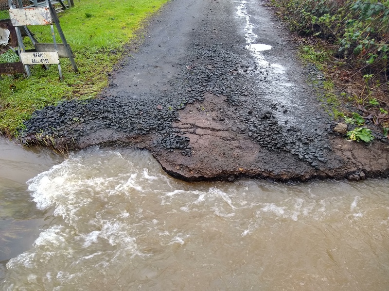 Tue 09:44 Culvert Gully. Roadbed shows clear signs of asphalt from prior years.