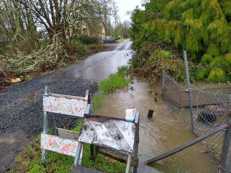 Mon 12:20 Water is crossing Rosewold Lane north of the culvert.