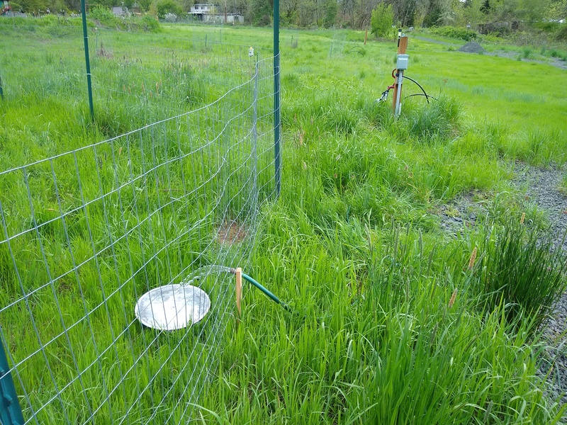 West Pasture watering station on an existing long hose.