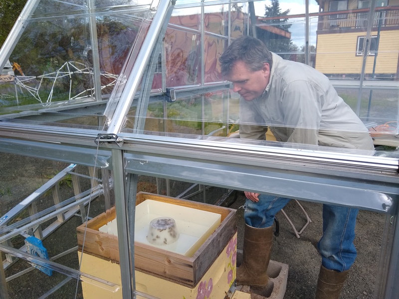 Joseph feeding the bees in the Greenhouse