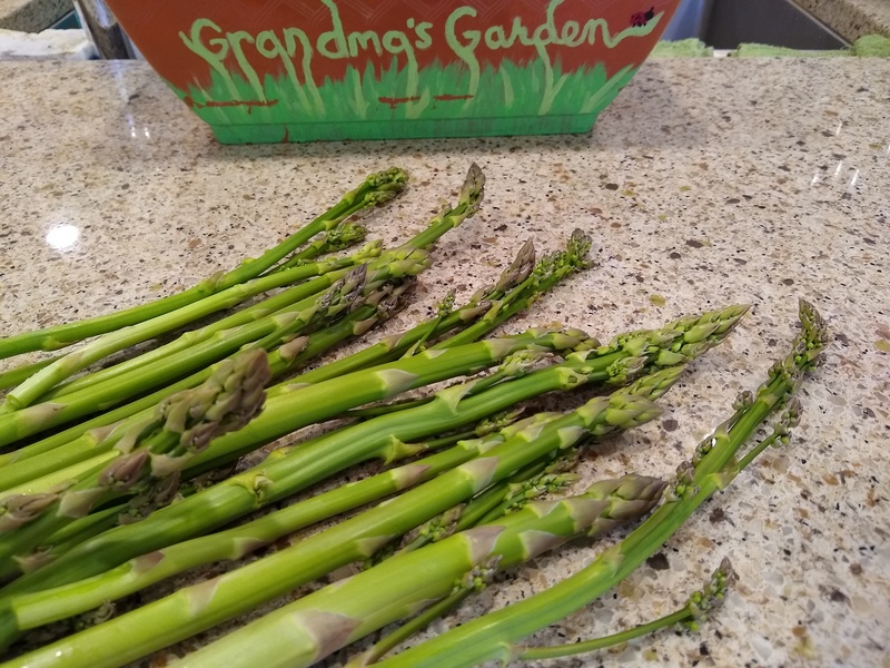 Fresh asparagus from the gardens of Rosewold.