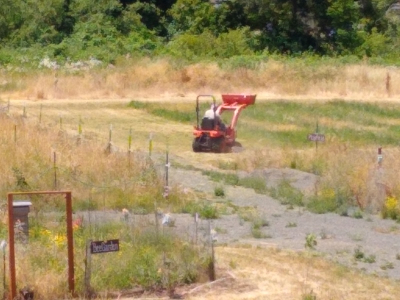 Don mows the Rosewold Playfield.