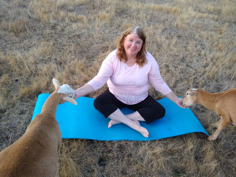 Lois is having trouble being serious with her sheep yoga.