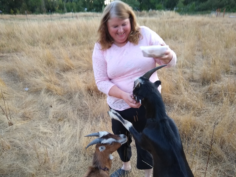Lois trying to feed the goats and have fun.