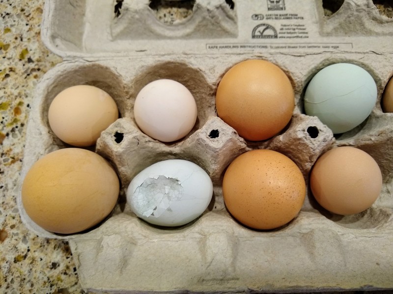 One egg was stepped on by a chicken. Can you guess which one?