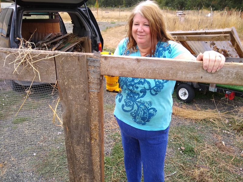 Lois uses her SawZall skills to demolish an old chicken coop we took to the dump.