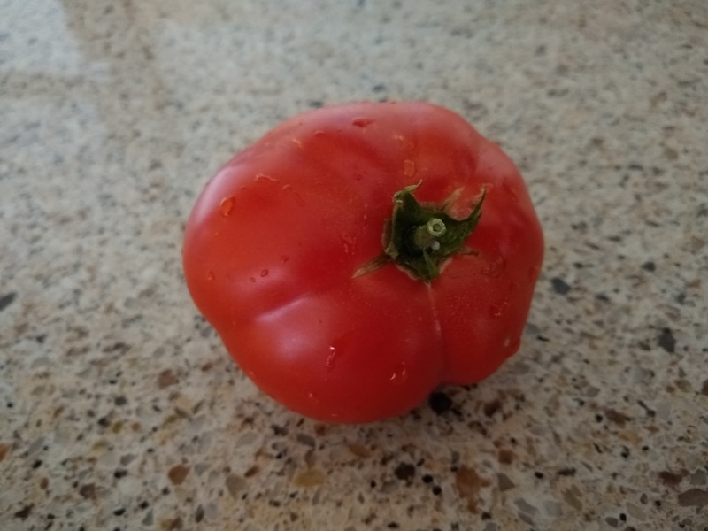 The first tomato that we have eaten from our garden. The actual first ones I have away.