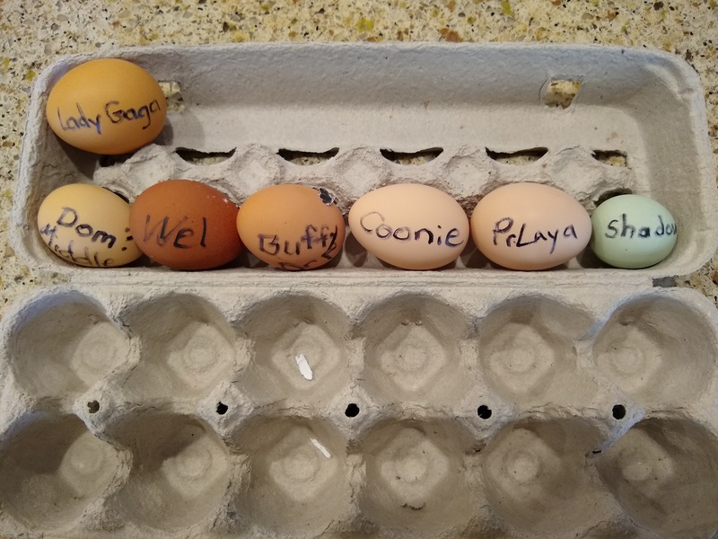 Seven eggs for Sunday.