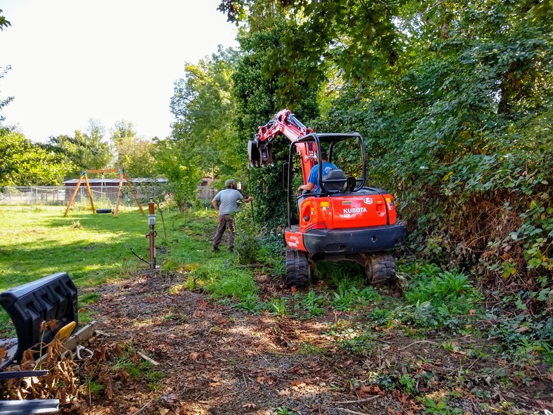 Removing the Arbor Vitae south of the Picnic Area.