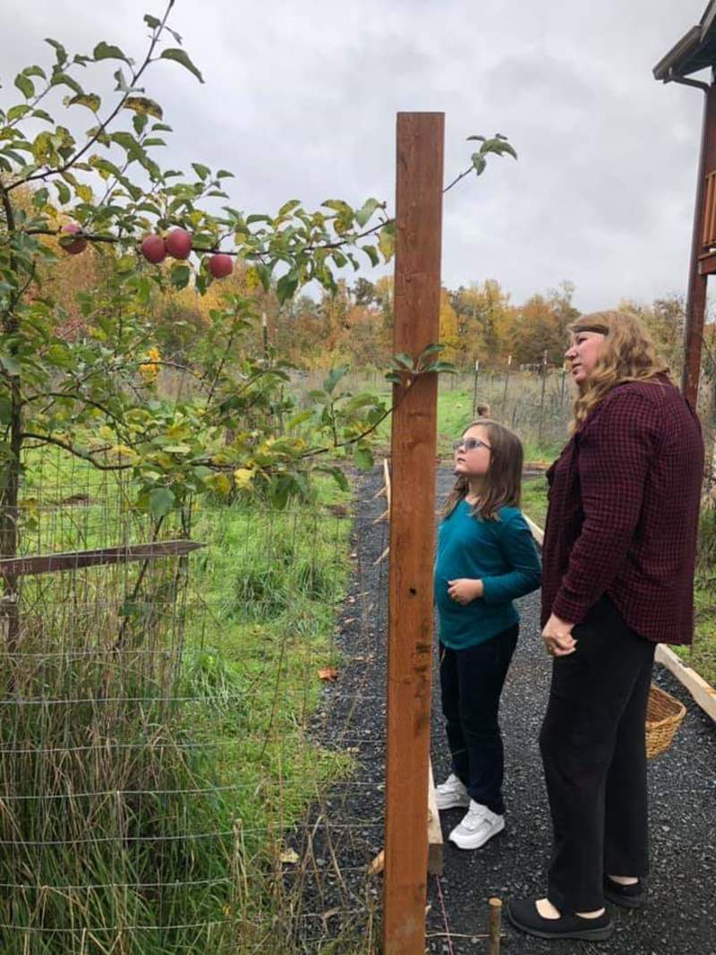 Emily is trying to decide which apple she wants to pick.