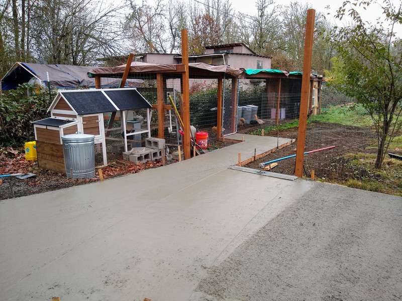 Third pour is under way. The chickens can't come out and play. They are sad.