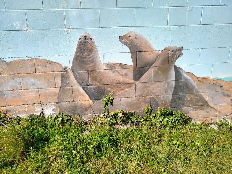 Sea lions painted on an old building in Bandon.