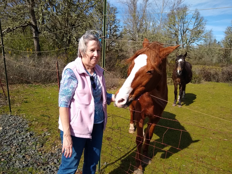 Cindy and the neighbor's horse being neighborly.