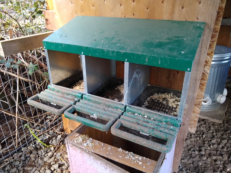 Nesting Boxes in a New Location.