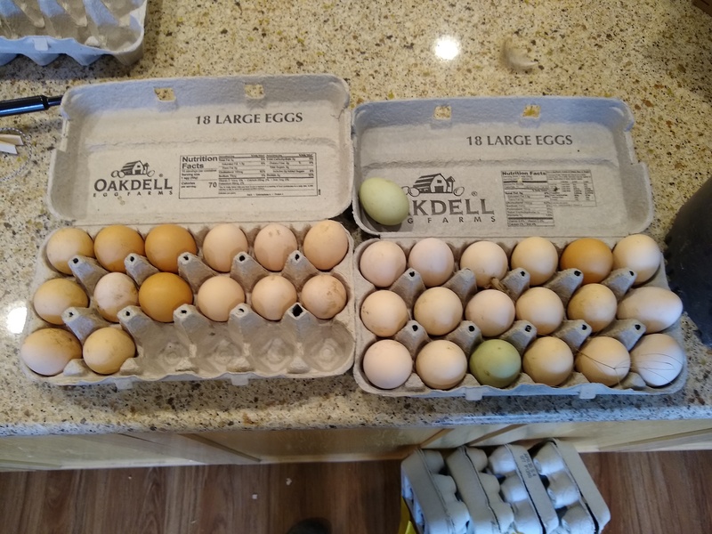 so here are all the eggs I found.