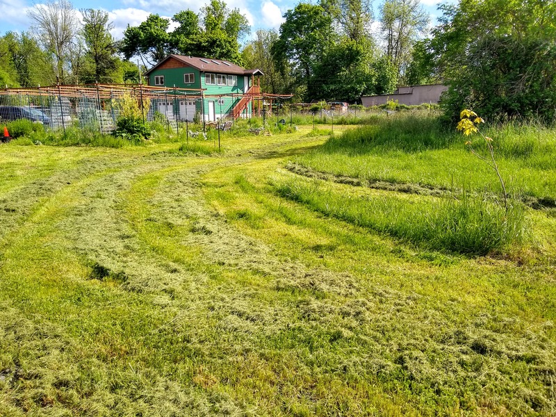 Lois mowed the area by the horse shoe pitch.