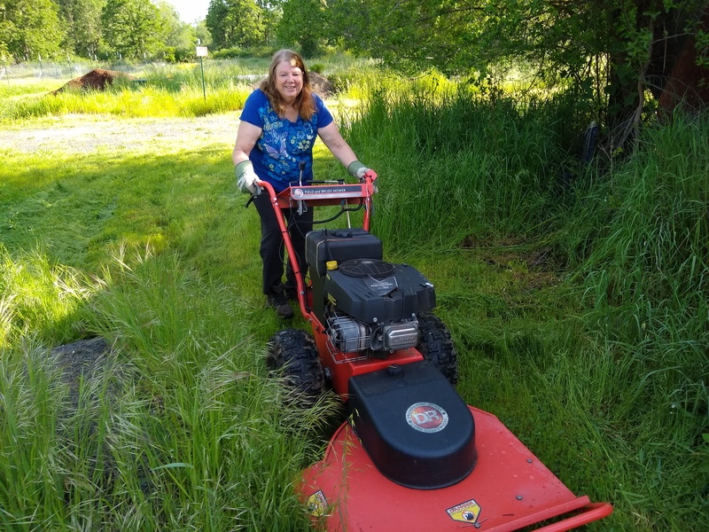 Lois using the ever faithful, fun, and manly Betsie, our Brush Mower.