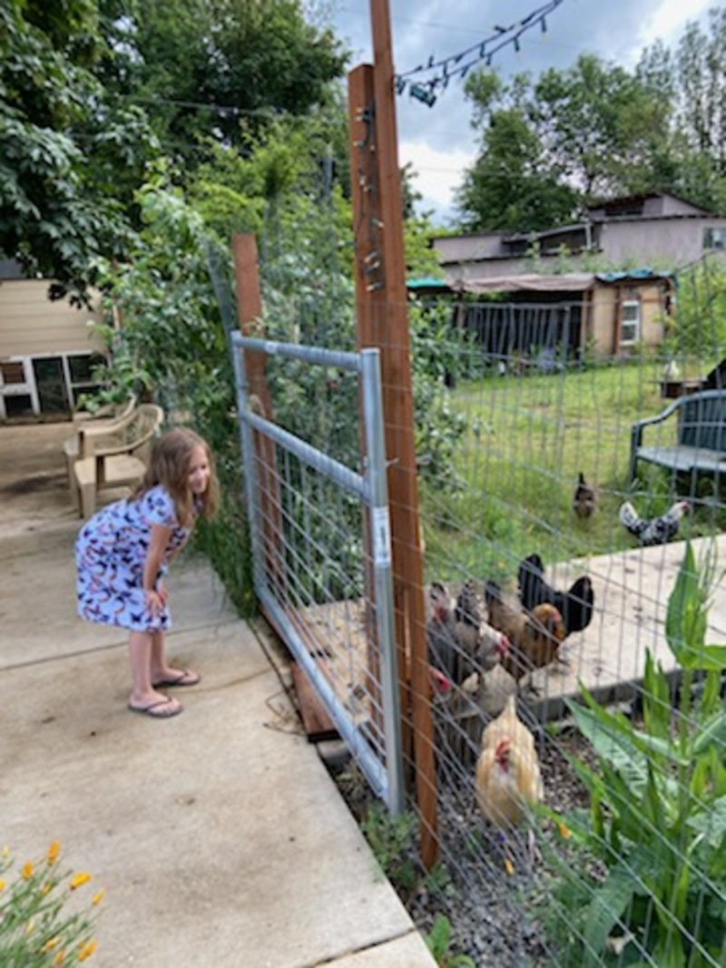 cute girl and core chickens