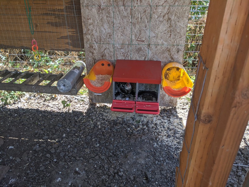 Two barrel nesting boxes beside the red rolling nesting box.